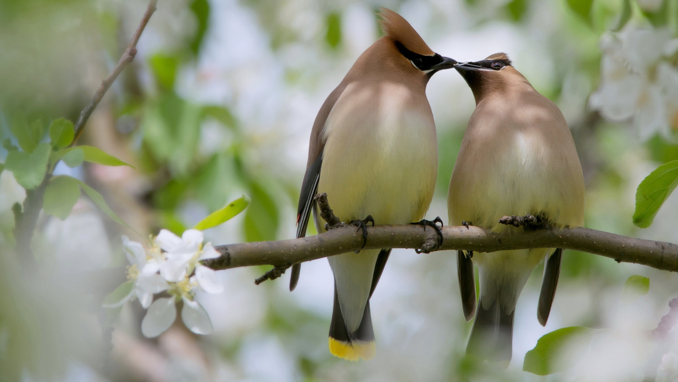 В душе опять весна